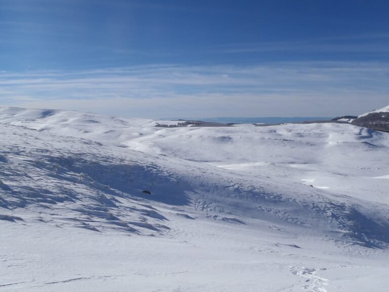 Alpages du plateau d'Ambel dans le Vercors dromois sous un ciel degage