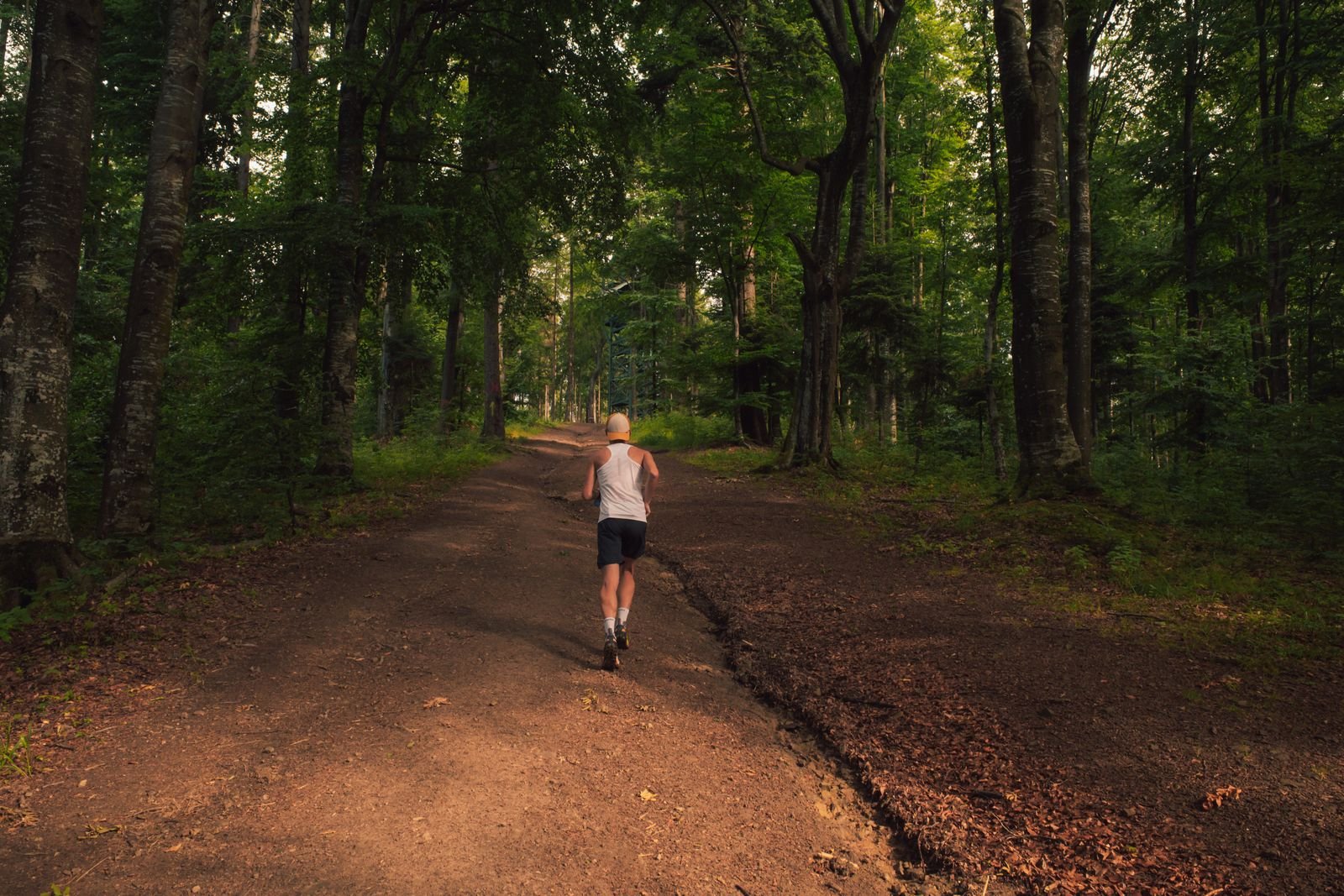 Coureur sur un large chemin de terre en forêt, terrain roulant conseillé pour les premières sorties de trail