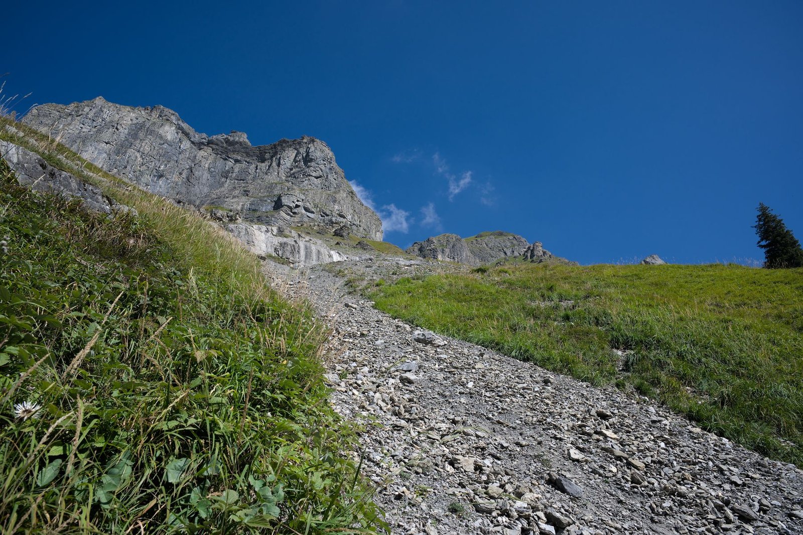 Sentier raide et rocheux montant en forte pente dans un versant de montagne