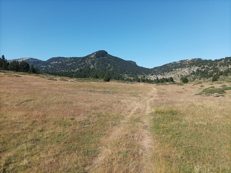 La barre calcaire de la montagne du Glandasse vue depuis le nord, au bord des hauts plateaux du Vercors